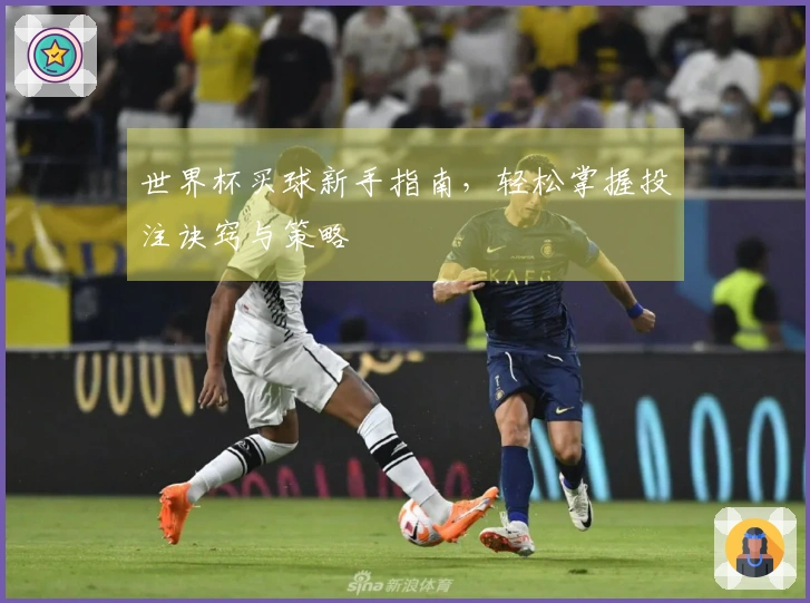 世界杯买球新手指南，轻松掌握投注诀窍与策略