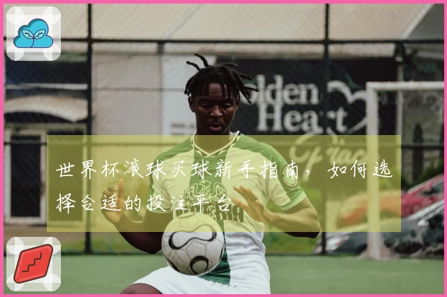 世界杯滚球买球新手指南，如何选择合适的投注平台