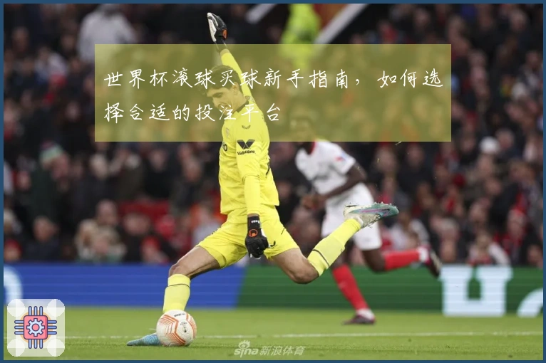 世界杯滚球买球新手指南，如何选择合适的投注平台