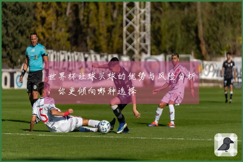 世界杯让球买球的优势与风险分析，你更倾向哪种选择