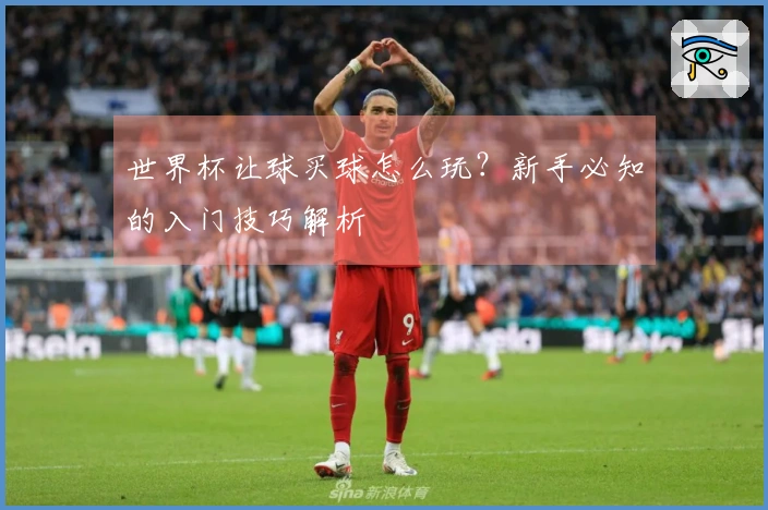 世界杯让球买球怎么玩？新手必知的入门技巧解析
